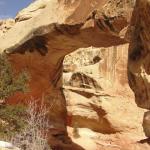 Capital Reef National Park - Utah 